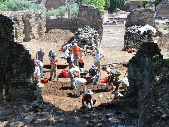 APAHA excavation site