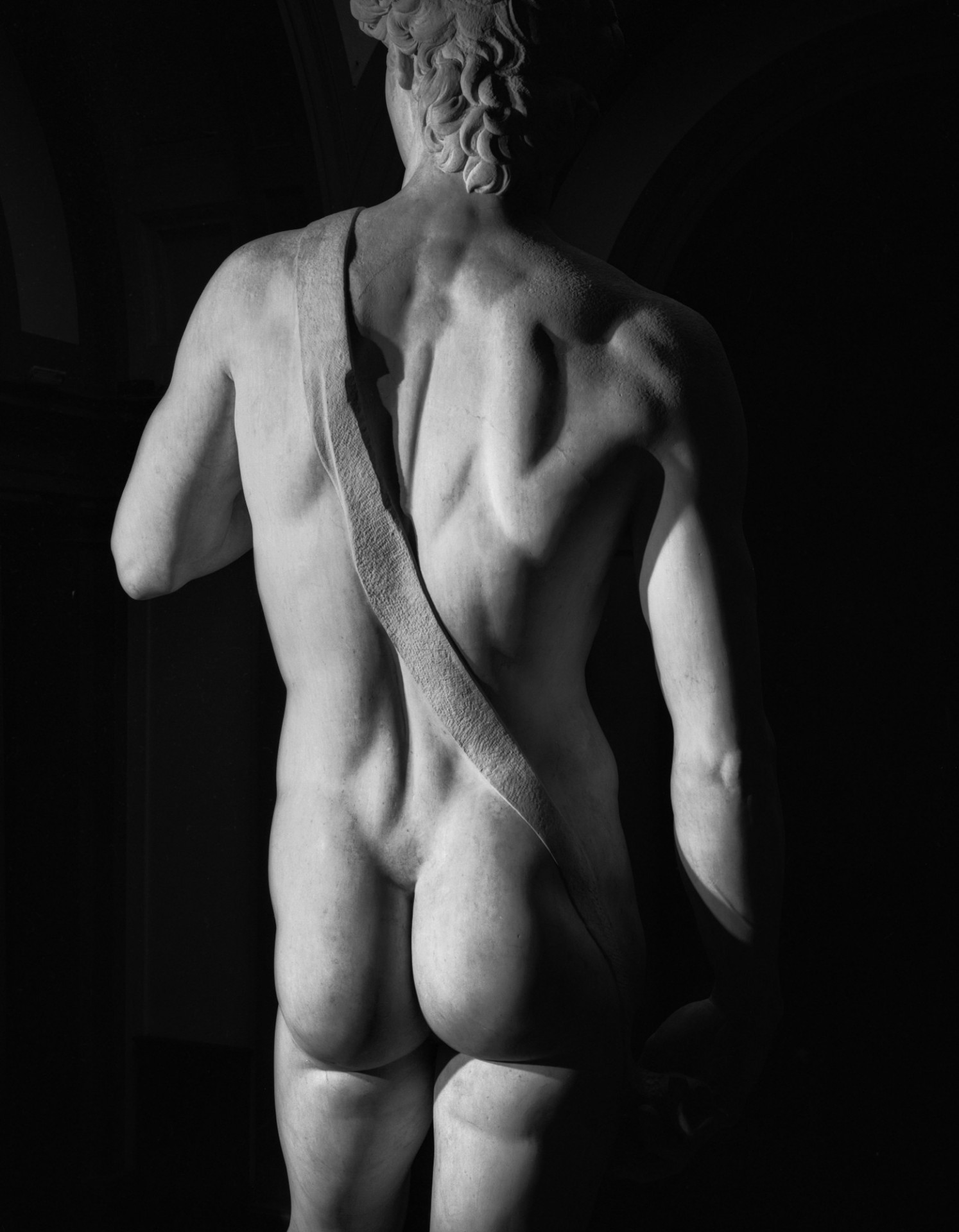 Back of David
