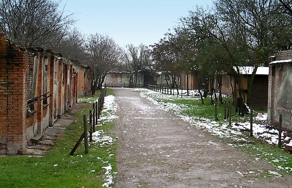 Contemporary Auschwitz 