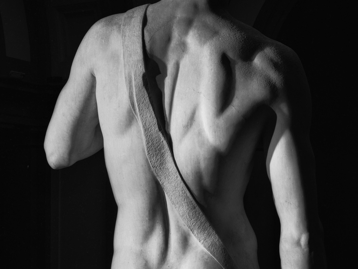 Back of the David