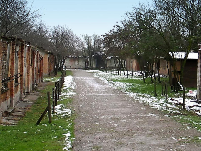 Contemporary Auschwitz 
