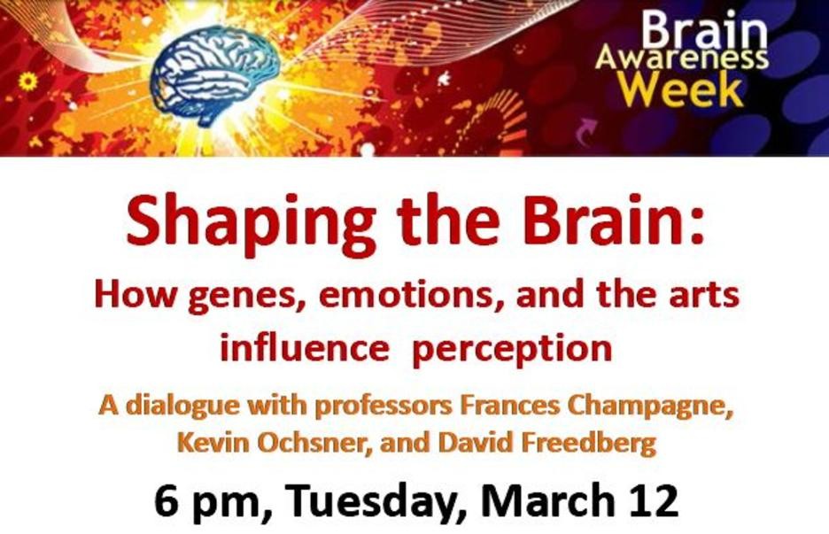 shaping the brain flyer