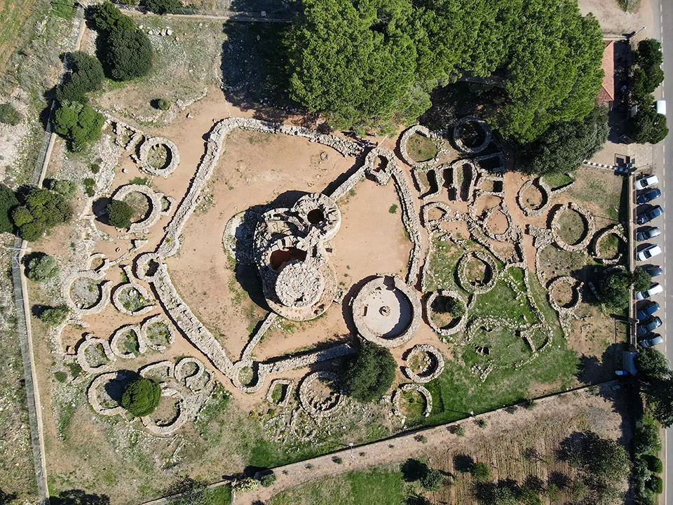 Palmavera
