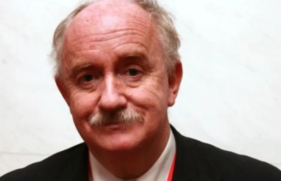 Portrait of Declan Kiberd