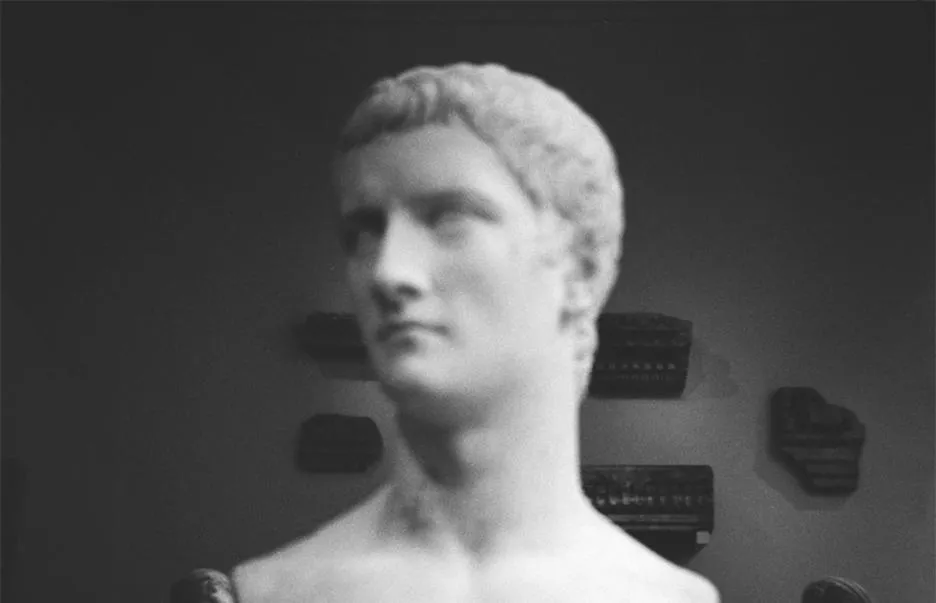 bust