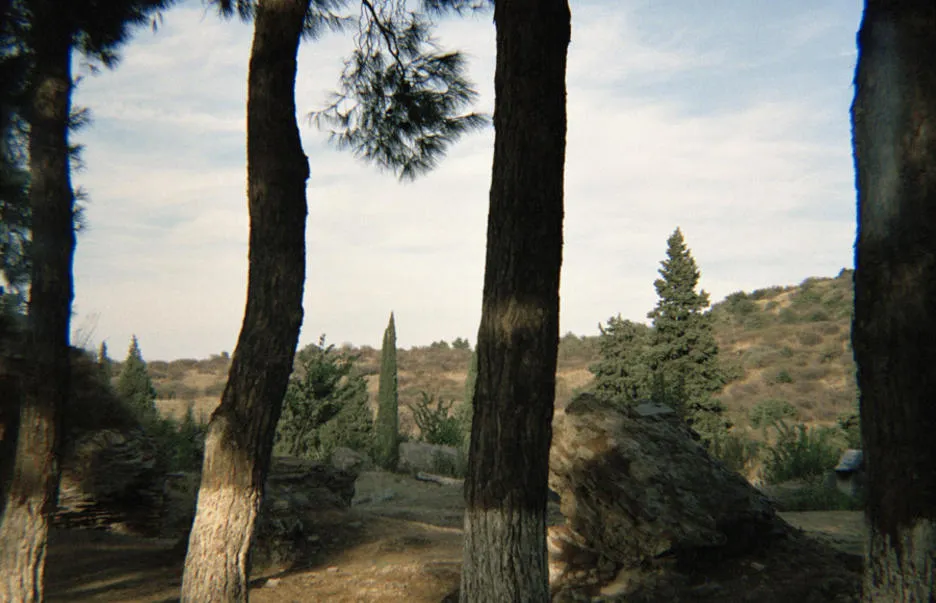 landscape