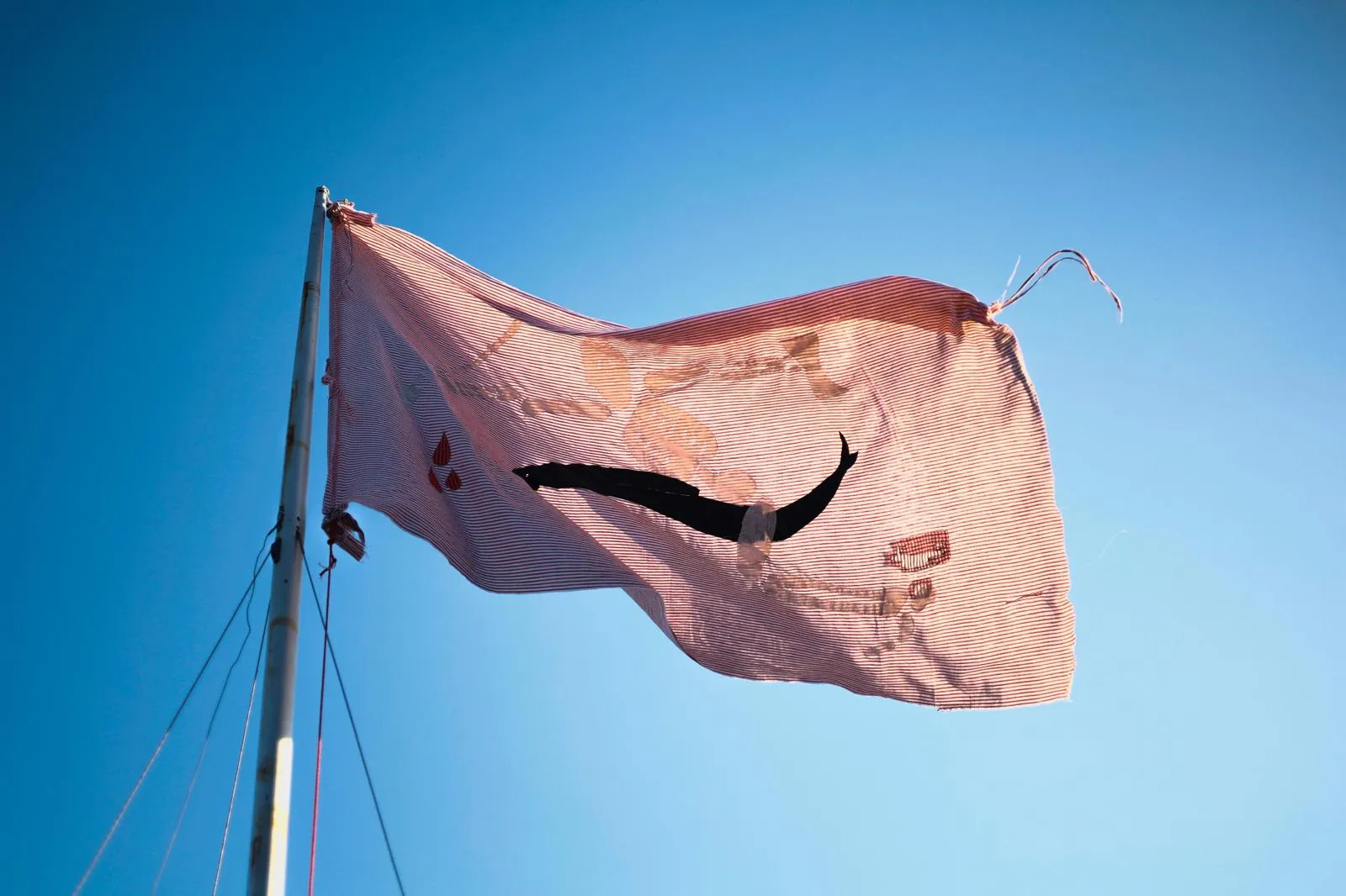 pink flag with whale on it