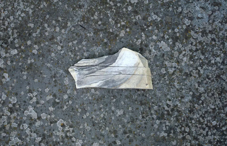 Plastic bag 