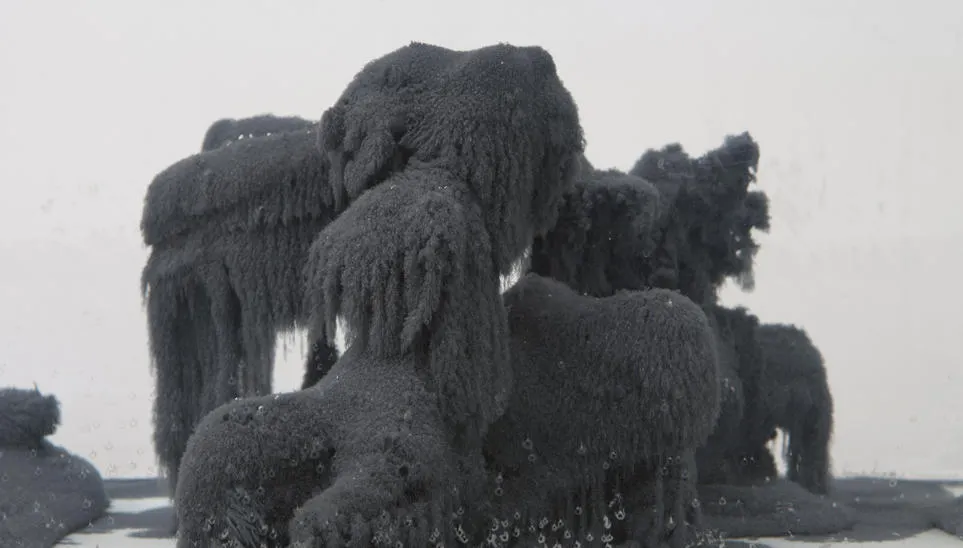 Antonio Fiorentino Dominium Melancholiae 2014, Chemical Reagents, Dimensions Variable (1).jpg