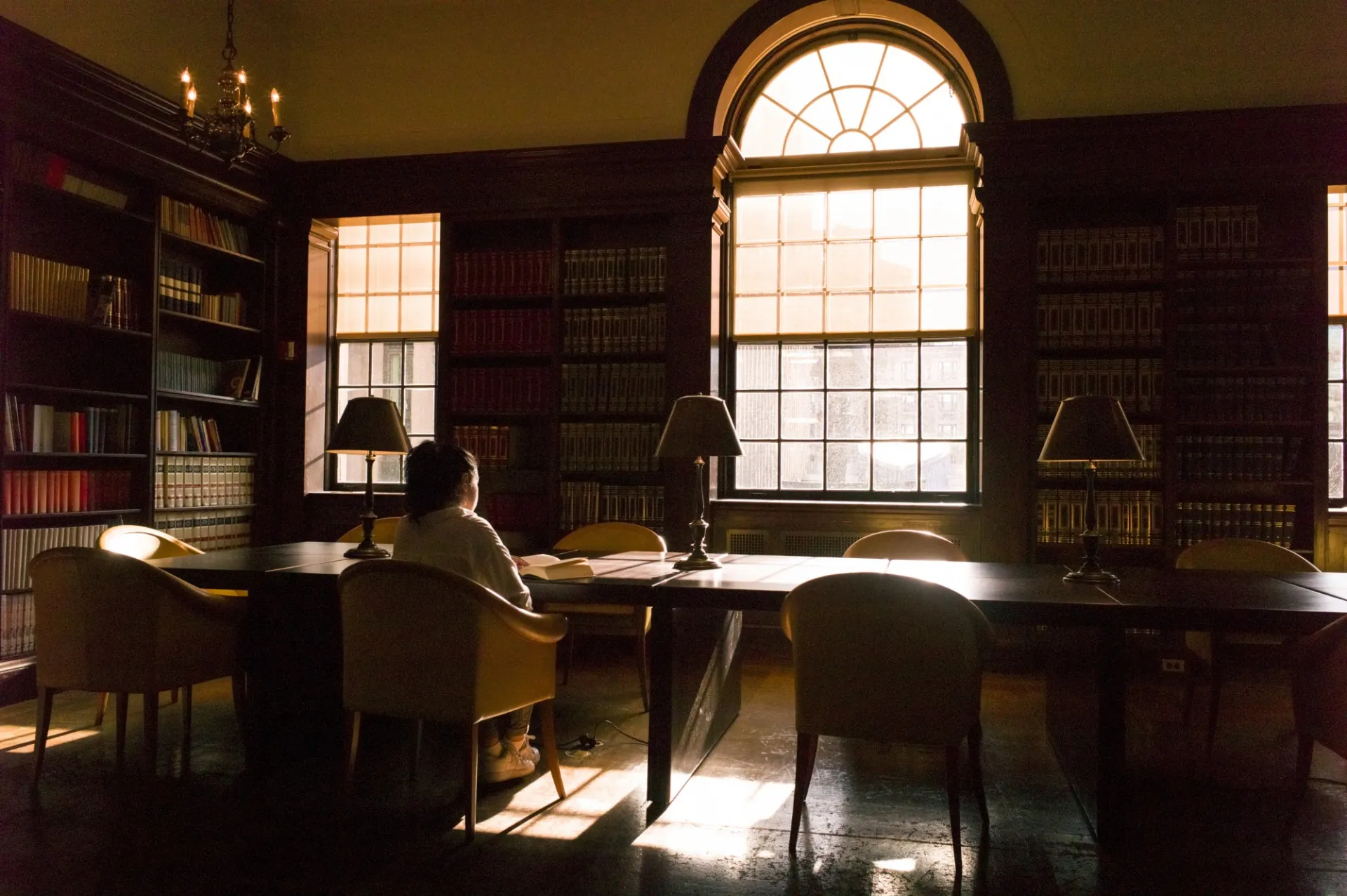 Library window
